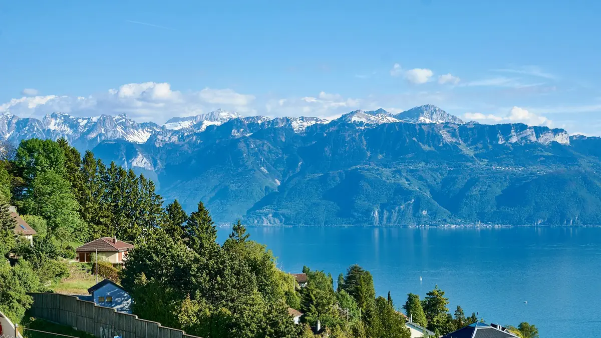 Le lac Léman vu depuis des pentes boisées, avec les Alpes sur la rive d'en face